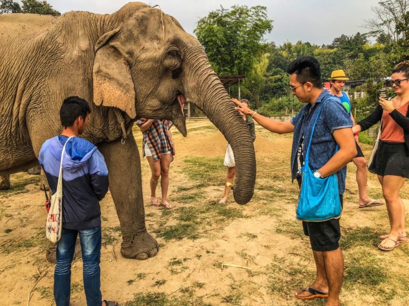 เลี้ยงช้างไทยที่แม่แตง_๒๐๐๖๑๐_0023